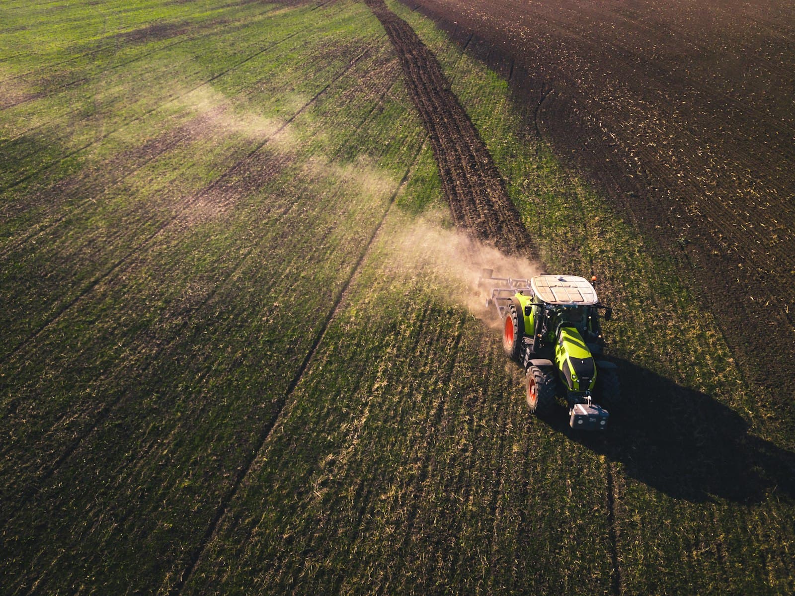 Agriculture & agribusiness
